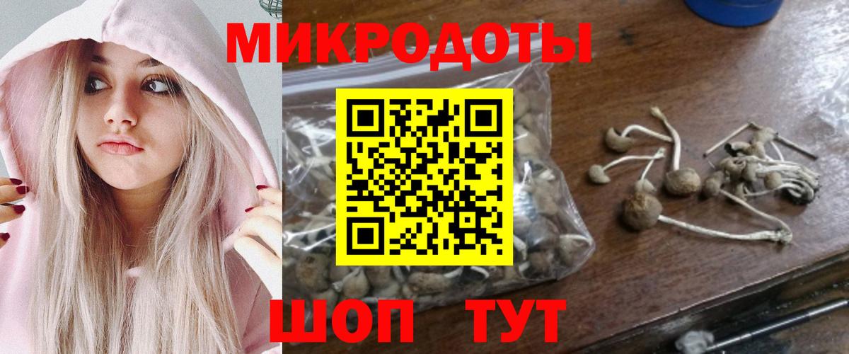 Псилоцибиновые грибы MAGIC MUSHROOMS  Вход с VPN  Феодосия 