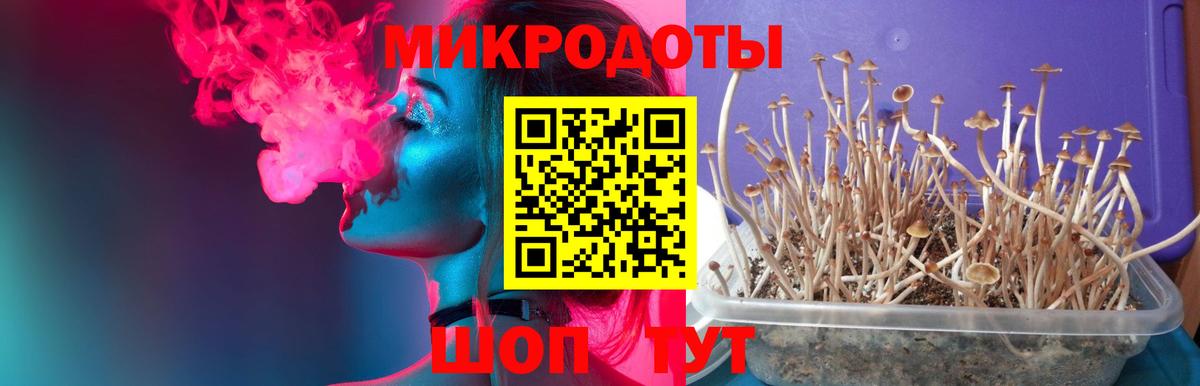 Галлюциногенные грибы прущие грибы Феодосия